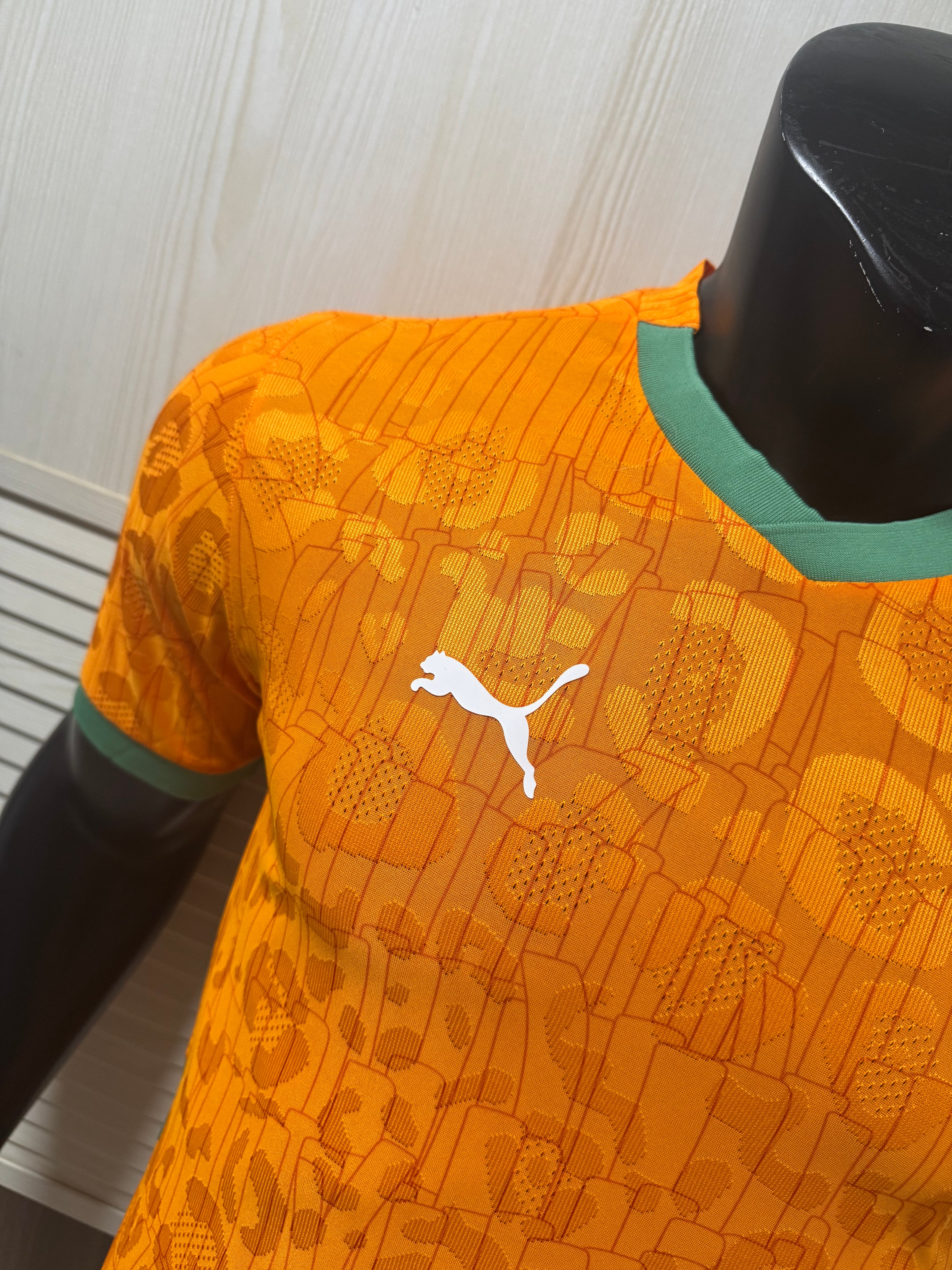 Camiseta de Costa de Marfil