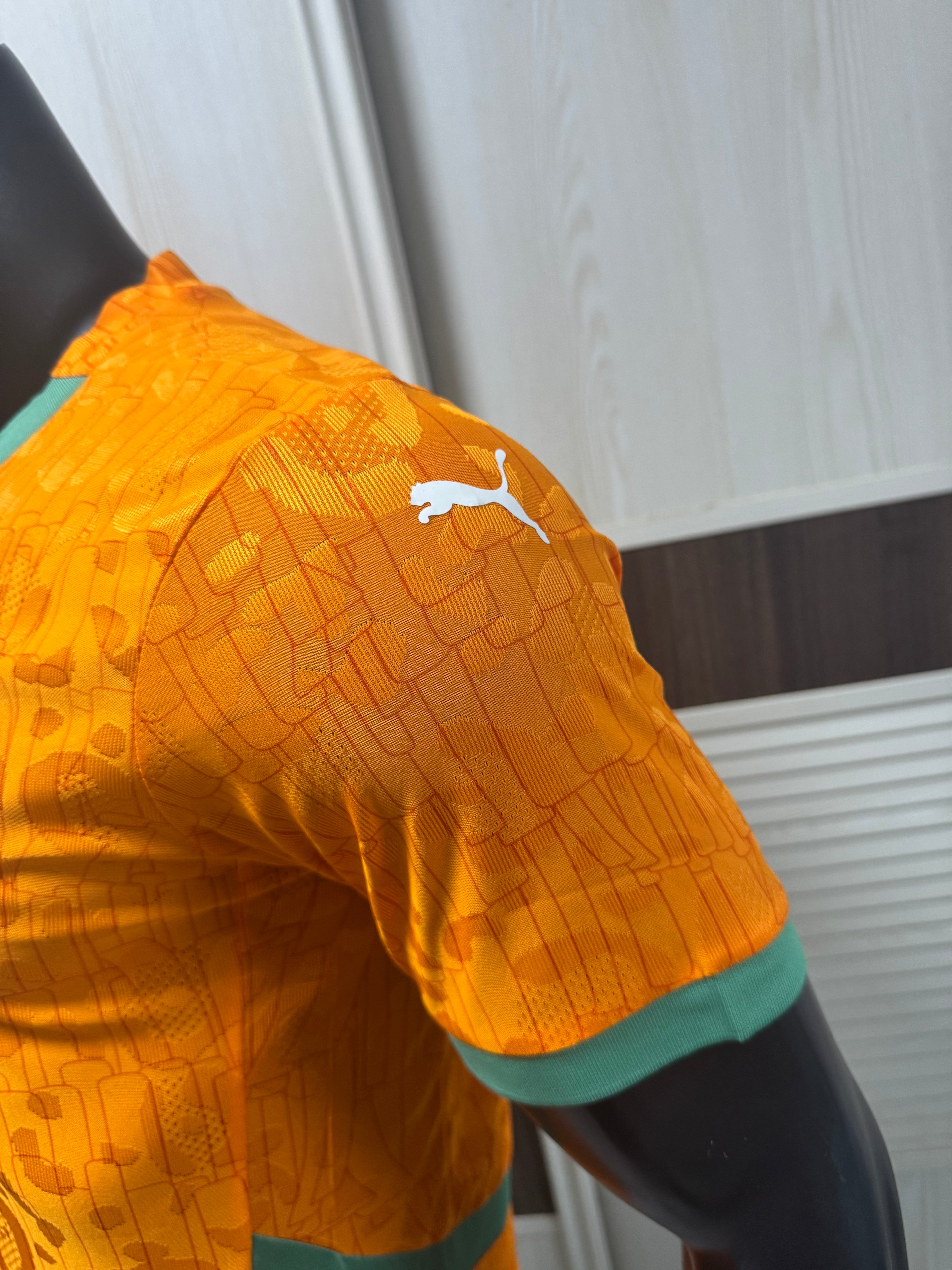 Camiseta de Costa de Marfil